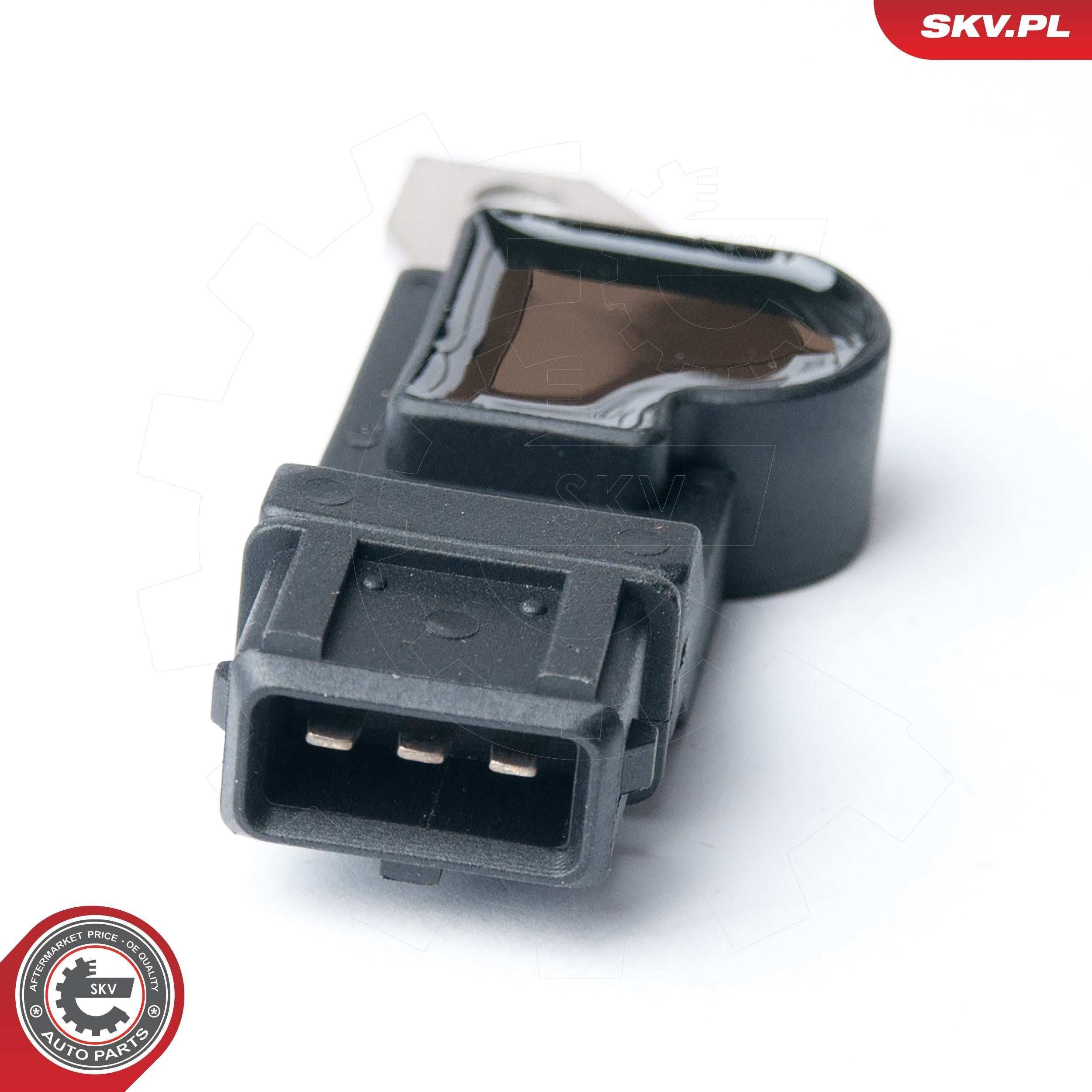 17SKV250 SKV